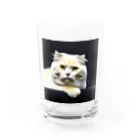 Animal-goodsのかわいい猫ちゃんの写真 Water Glass :front