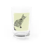 コハクのカーテンレールから見下ろすコハク Water Glass :front