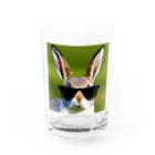 chi___cのカワカッコいい　うさぎ Water Glass :front