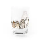 鵄　〜フクロウまみれ〜のせのじゅんフクロウ Water Glass :front