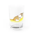 もちけらの長し目ねこちゃん。 Water Glass :front