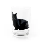 レイチェルの黒猫 Water Glass :front