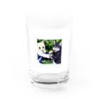 Haniwanの殴り愛猫 Water Glass :front