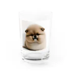 KYOのぶさかわ Water Glass :front