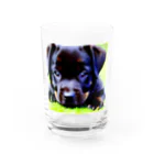 nishijima1の仔犬 Water Glass :front