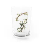 sachiko_goodsのなにはいばら Water Glass :front