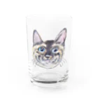 れいにゃん堂&れいにゃあ～と😺のチョークアートの見上げるサビ猫 Water Glass :front