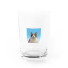 ちゃんかなの親知らずのキューチ Water Glass :front