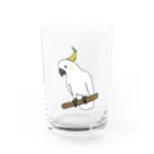 ゴールデンレトリバーわんちゃん犬の白い怪獣　キバタン Water Glass :front