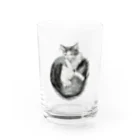 もっち（mocchi）の毛づくろいニャンコ(モノクロ) Water Glass :front