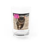 TAIYO 猫好きのピンクロゴCAT 狩猟風 Water Glass :front