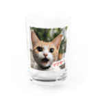 e-necoshopの驚愕する猫さん！ Water Glass :front