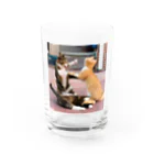 ume's shopの猫の喧嘩 Water Glass :front