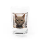 TAIYO 猫好きのビックフォト茶虎模様猫 Water Glass :front