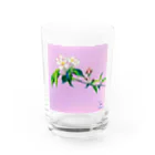 O'HAMAYAN「御濵屋庵」のapple-リンゴ- Water Glass :front