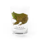 さちこの生物雑貨のウシガエル Water Glass :front