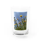 MMの黄色い春菊の花 Water Glass :front