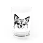 takepanのチワワシリーズ Water Glass :front