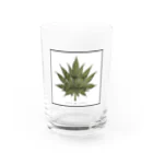 ハイライフコレクションズのハイライフコレクション Water Glass :front