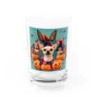 チワワ愛好家ショップのカラフルな夜のハロウィン・チワワ・フィエスタ Water Glass :front