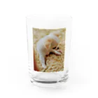 y-gokiのラブリードッグ（みるく） Water Glass :front