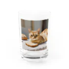 猫雑貨屋　ねこまろのパンの化身、茶トラ Water Glass :front