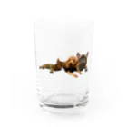 Ru.xxxのトイプードル＆フレンチブルドッグ＆ベンガル Water Glass :front