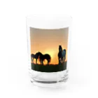 宇宙開発デザイン科の夕陽の中の馬 Water Glass :front