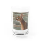 千裕アトリエ（いつもありがとう）のアビシニアン　Abyssinian cat Water Glass :front