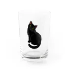 もっち（mocchi）の黒猫ちゃん Water Glass :front