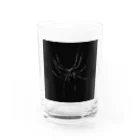 クモの蜘蛛 Water Glass :front