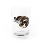 ロムー公式二次創作物販売所の大人気のロムザラシシリーズ Water Glass :front