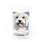 SHOP かわいいやのマルチーズ（ドット） Water Glass :front