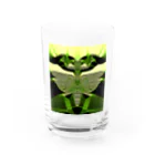 t44のグラフィティ ハラビロカマキリ Water Glass :front