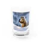 tonsoku13の歌うマーモット Water Glass :front