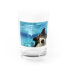 犬ロボット！のinurobotの犬in海 Water Glass :front