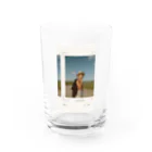 popo60のポラロイド写真 Water Glass :front