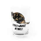 もっち（mocchi）の黒三毛猫ちゃん Water Glass :front