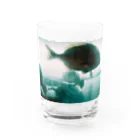 ニョキのあの道の途中でサカナになった Water Glass :front