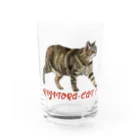 もっち（mocchi）のお散歩キジトラ猫ちゃん！ Water Glass :front