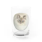 まんまる猫いれぶんのまんまる猫いれぶん グラス前面