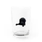 アビシニアコロブスのboss Water Glass :front