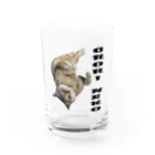 もっち（mocchi）のゴロリ猫ちゃん Water Glass :front