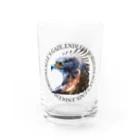 RONBOのEagle's Gaze, Endless Horizon Water Glass :front