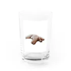 山のくまの犬が落ちてる Water Glass :front