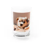 TigerSharkの太郎くん Water Glass :front