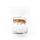 メイちゃんSHOPのメイちゃん/つかれたら休めばいいちゃが！ Water Glass :front