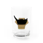 小鳥と映画館の黒猫と段ボール Water Glass :front