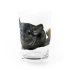 動物クラブのチンチラグッズ Water Glass :front