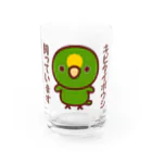 いんこ屋堂のキビタイボウシ飼っています Water Glass :front